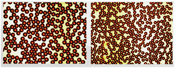 Droplet example: Single emulsion microscope photograph