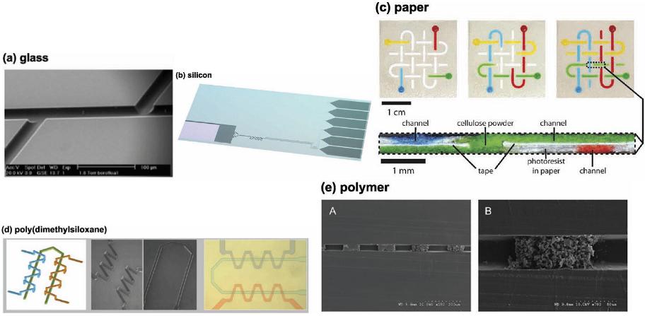 玻璃、PDMS、紙、硅、PMMA材質芯片示范圖對比