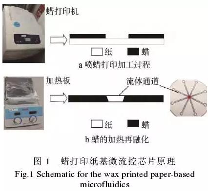 使用蠟打印加工紙基微流控芯片的方法，其基本原理見圖1。