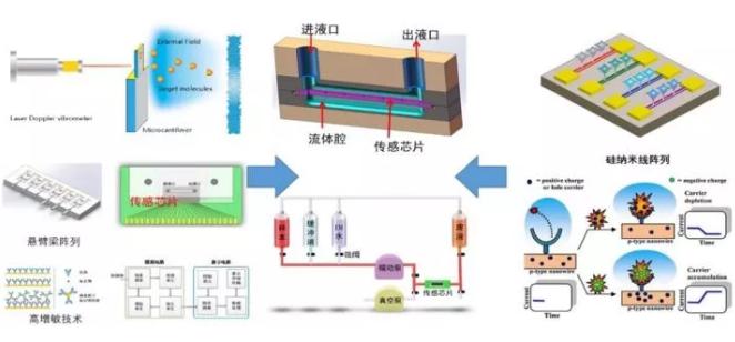 微納機(jī)械結(jié)構(gòu)生化傳感器