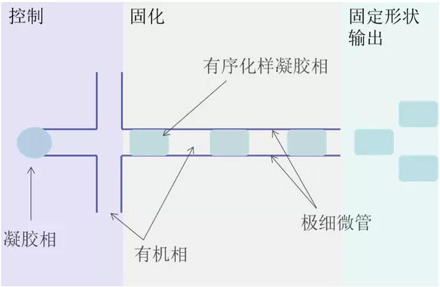 微流控技術(shù)合成凝膠原理簡(jiǎn)圖